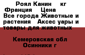  Роял Канин 20 кг Франция! › Цена ­ 3 520 - Все города Животные и растения » Аксесcуары и товары для животных   . Кемеровская обл.,Осинники г.